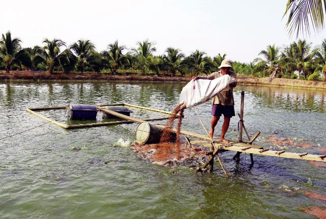 Long An: Hỗ trợ tối đa 400 triệu đồng/dự án thủy sản