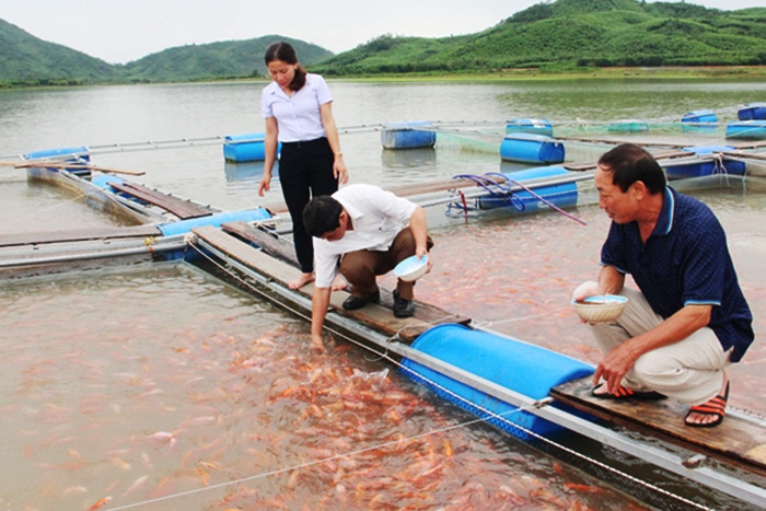 Bán khách sạn tiền tỷ, gom tiền về quê nuôi cá lồng bè