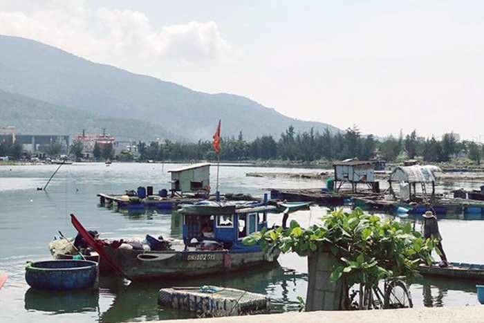 Bấp bênh nghề nuôi cá lồng bè