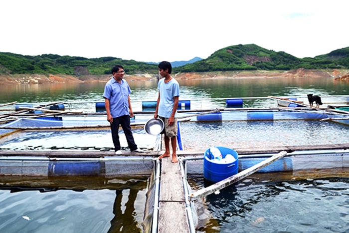 nghề nuôi cá trong lồng bè