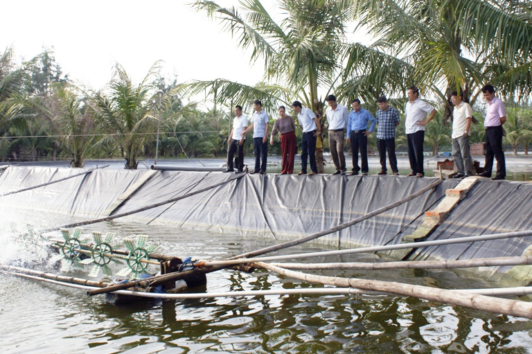 Biện pháp nuôi thủy sản khi nắng nóng kéo dài, mưa dông bất thường