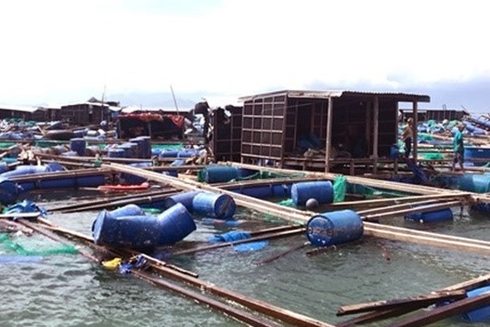 175 trường hợp không đủ điều kiện hỗ trợ thiệt hại sau bão