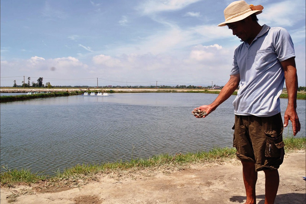 Giá cá tra về mức 28.000 đồng/kg