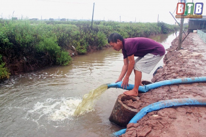 Tiền Hải: Chủ động tiêu nước vùng nuôi trồng thủy sản