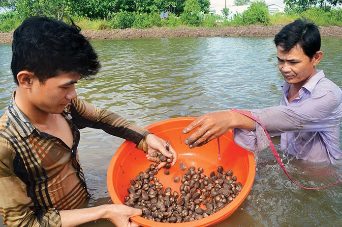 An toàn lao động trong nuôi trồng thủy sản