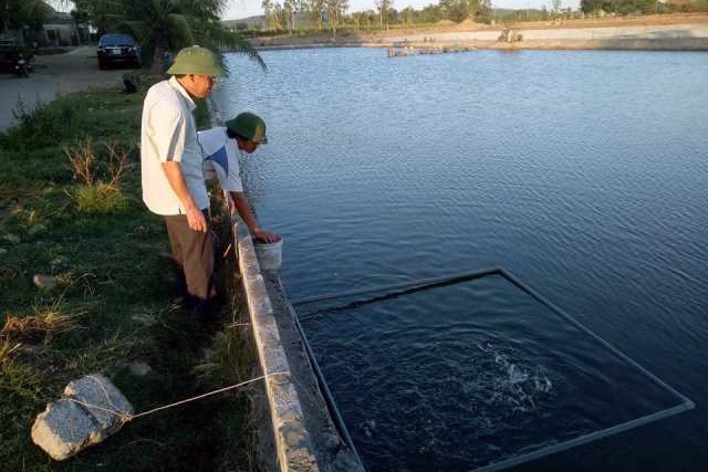 Vua cá Vược ở Quỳnh Lưu