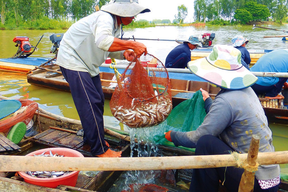 Tập trung bảo vệ nguồn lợi thủy sản