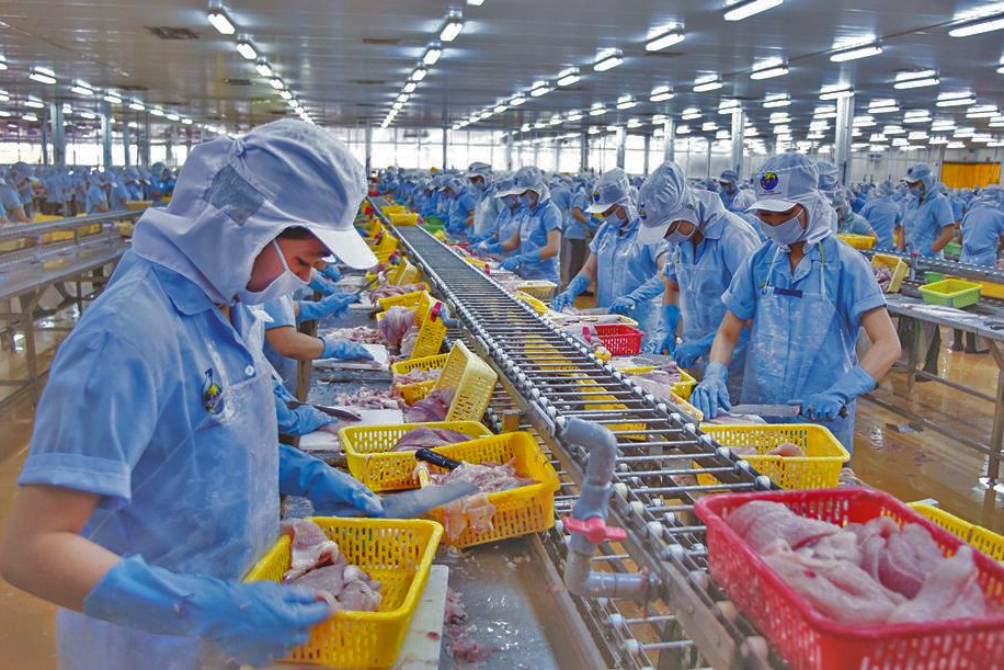 Cơ hội mới cho cá tra