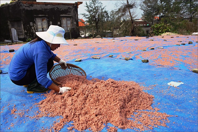 Phú Diên được mùa khuyết