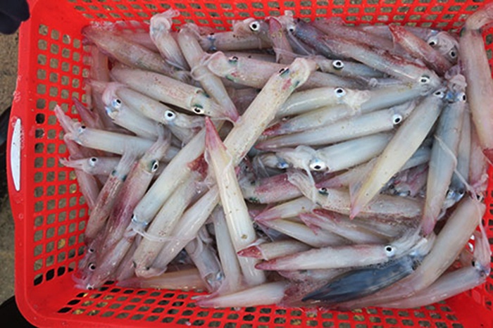 Chú trọng công nghiệp chế biến để nâng cao giá trị thủy sản