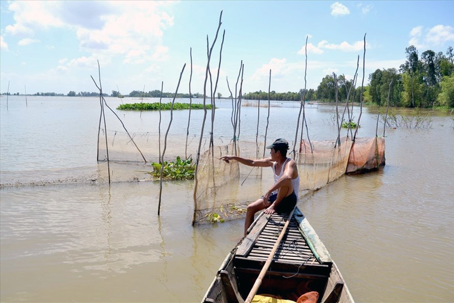 ĐBSCL: Lũ về sớm