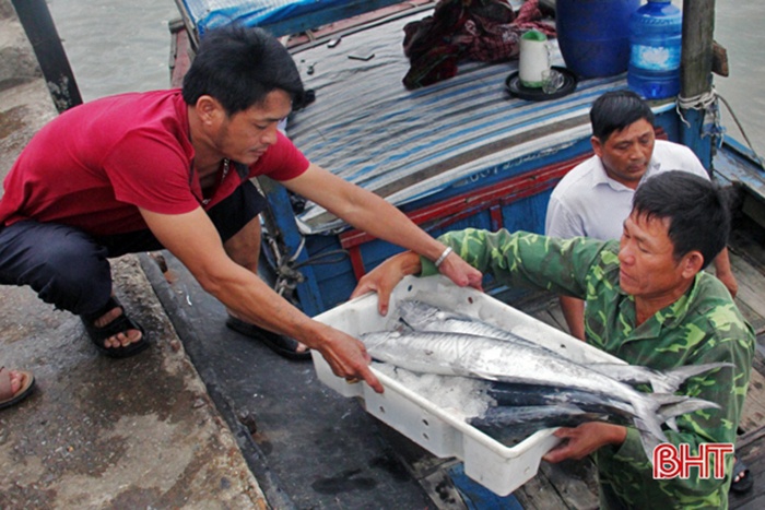 Hà Tĩnh đạt sản lượng thủy hải sản gần 30.000 tấn, trị giá hơn 1.500 tỷ đồng