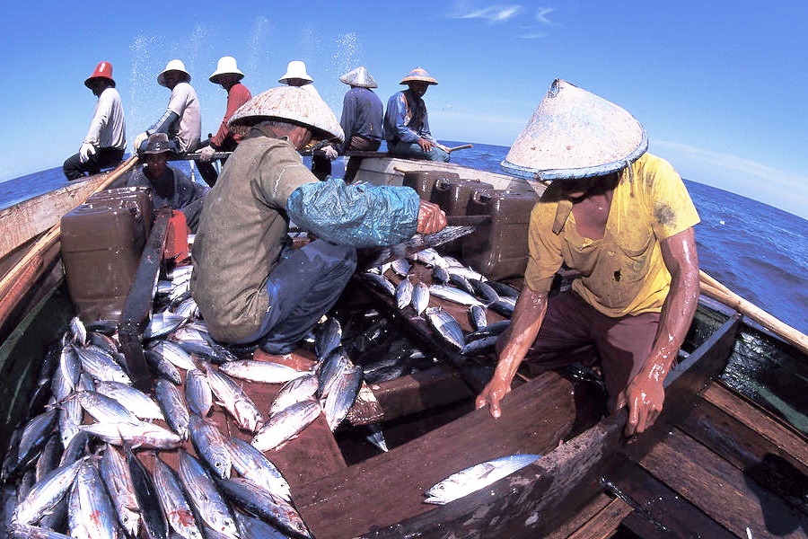 Dự luật mới của Indonesia nhắm vào các chủ tàu cá bất hợp pháp