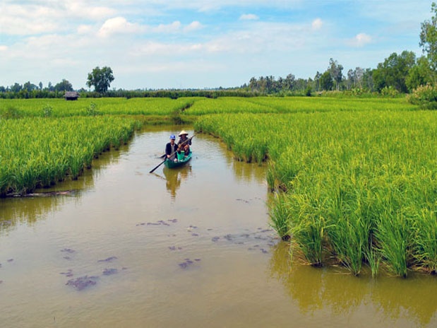 Nguyên tắc nuôi tôm hữu cơ