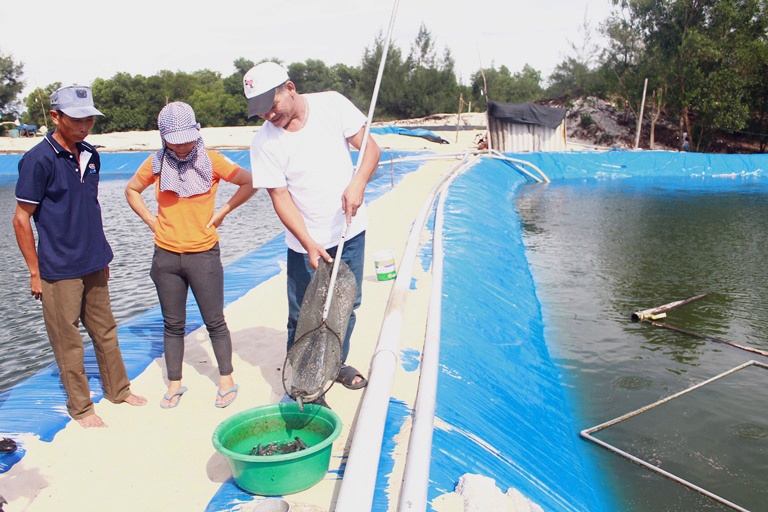 Quảng Bình: Hiệu quả mô hình cá chạch bùn trên ao lót bạt