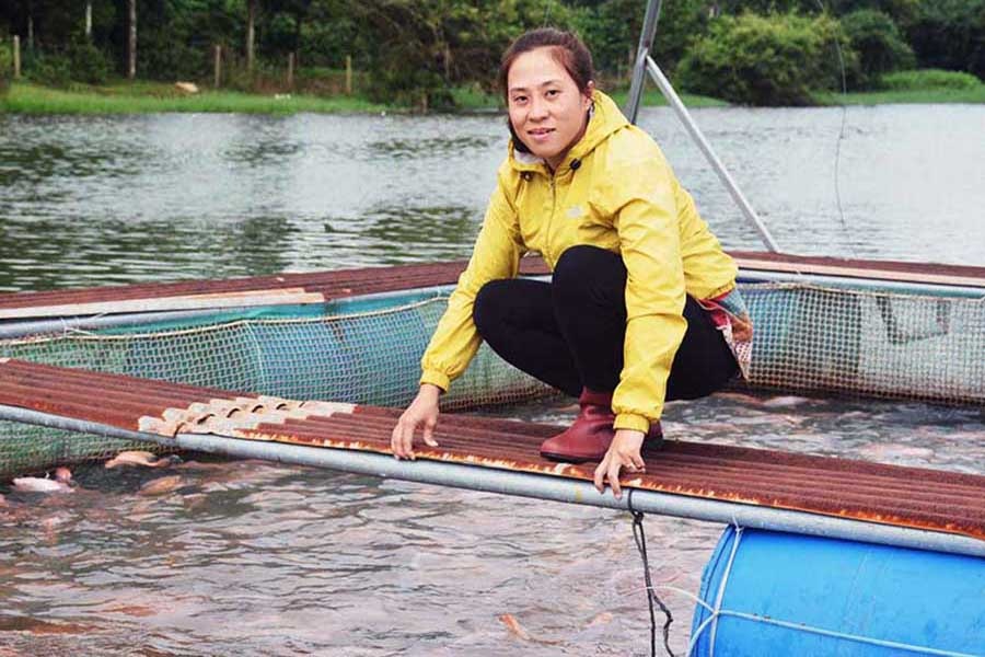 Phạm Thị Kim Ngà: Thu tiền tỷ từ nuôi cá lồng