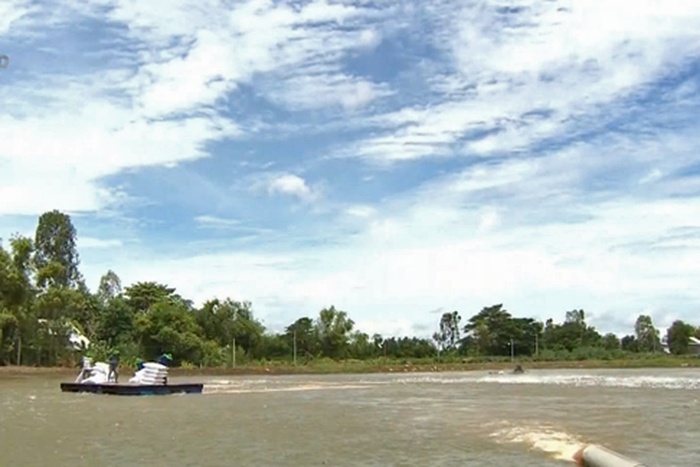 ĐBSCL: Giá cá tra tăng thêm 4.000 đồng/kg