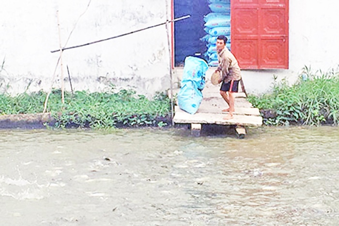 Hậu Giang: Giá cá tra tăng trở lại