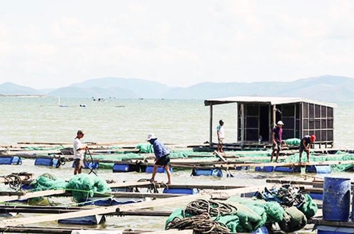 Hỗ trợ nuôi trồng thủy sản thiệt hại do bão 12 là 7 triệu đồng/hộ