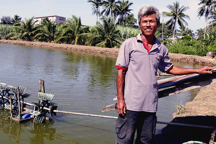 Những giải pháp nuôi tôm quảng canh cải tiến hiệu quả