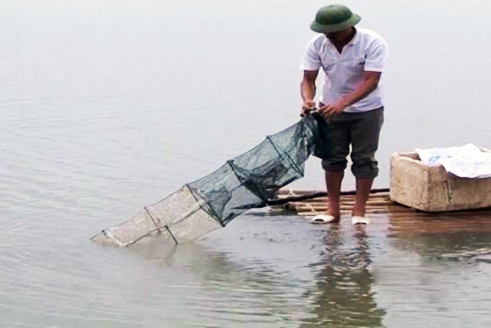 Thanh Hóa: Phát triển nuôi tôm sú bán thâm canh