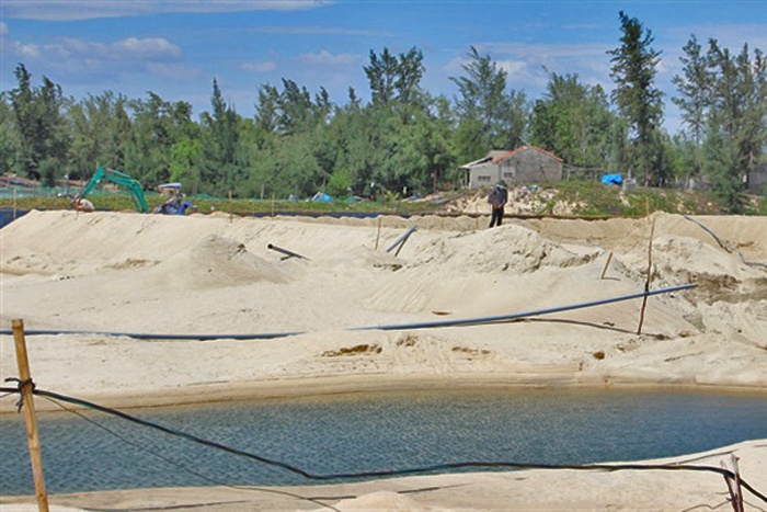 Kiên quyết xử lý nuôi tôm trái phép