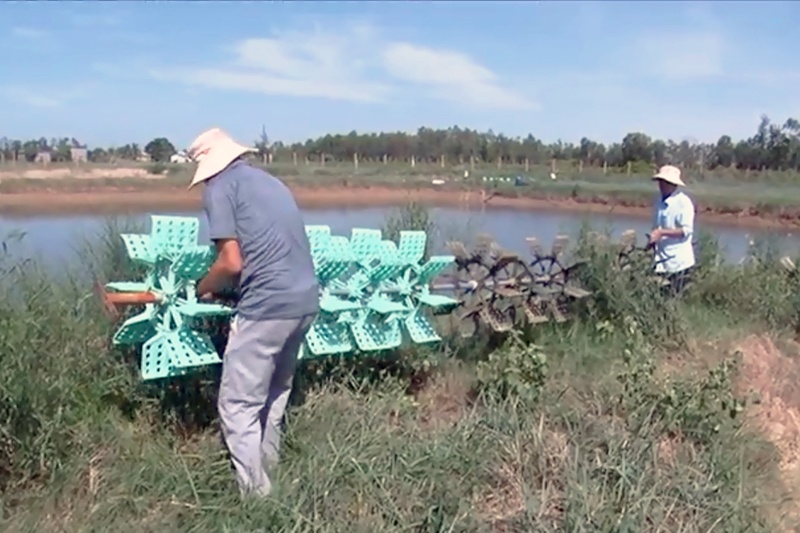 Nhiều diện tích nuôi tôm ở Võ Ninh bị bỏ hoang