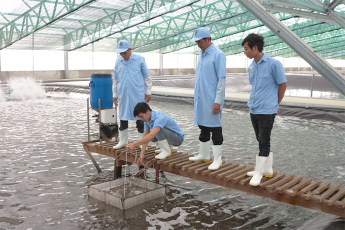 Bình Định: Kêu gọi doanh nghiệp đầu tư vào ngành thủy sản