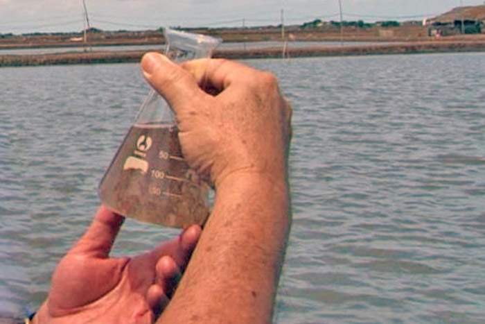 Sóc Trăng: Thông báo kết quả quan trắc môi trường tháng 9