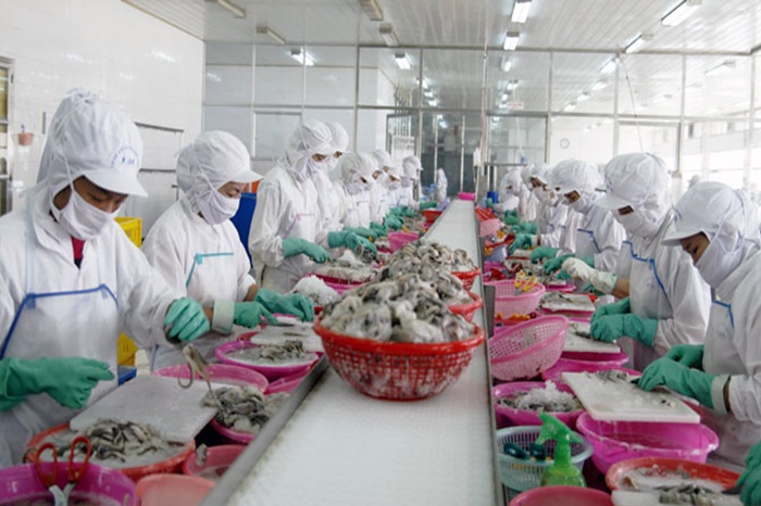 Xuất khẩu tôm Việt Nam sang thị trường Mỹ sẽ khôi phục