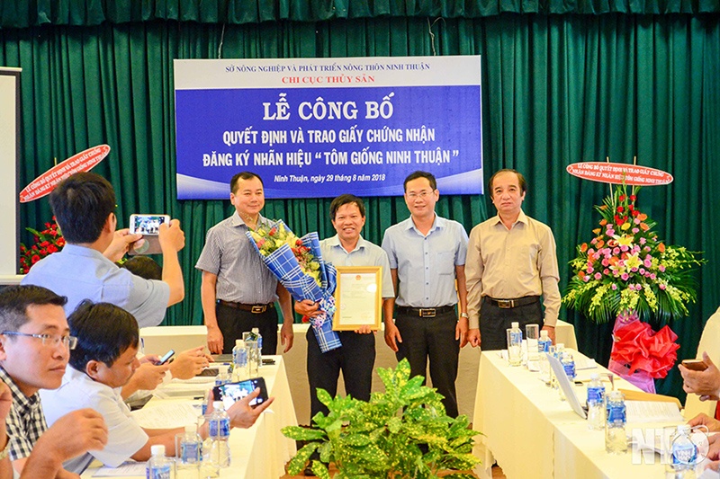 Tôm giống Ninh Thuận được cấp chứng nhận nhãn hiệu