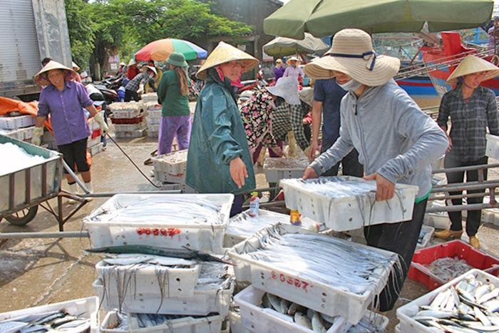 Đừng lợi dụng mưa bão để ép giá thu mua hải sản