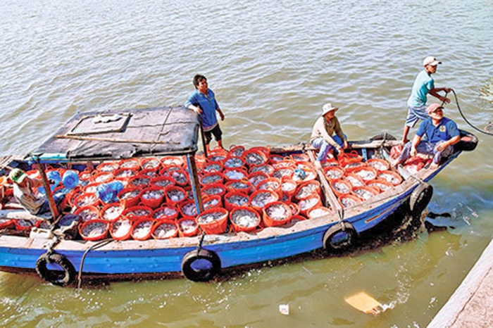 Bình Thuận: Khai thác hải sản gắn với bảo vệ biển đảo