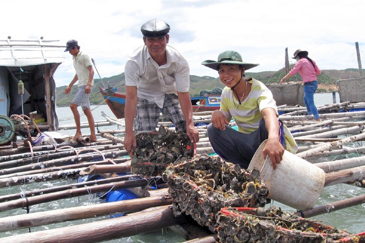 Phú Yên: Hợp tác phát triển chiến lược nuôi biển công nghiệp