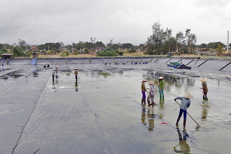 Quảng Trị: Sản xuất chế phẩm sinh học trong nuôi tôm