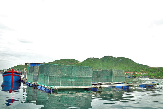 Khánh Hòa: Định hướng phát triển nuôi trồng thủy sản