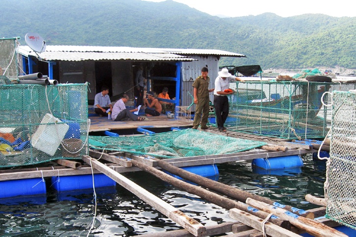 Gần nửa số lồng bè nuôi trồng thủy sản vượt quá quy hoạch