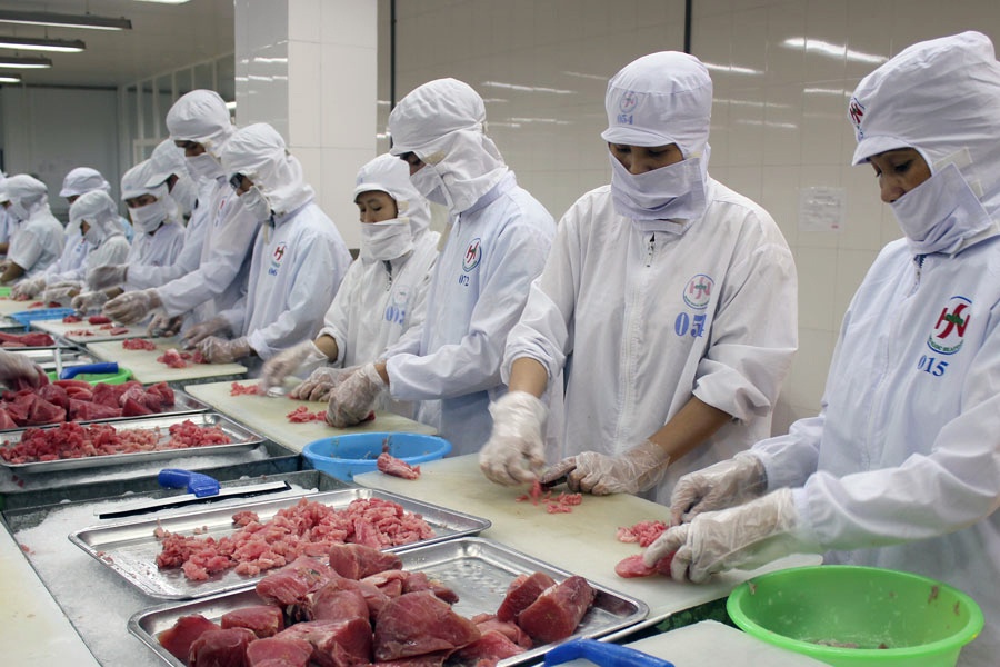 Trung Đông tăng nhập khẩu cá ngừ từ Việt Nam