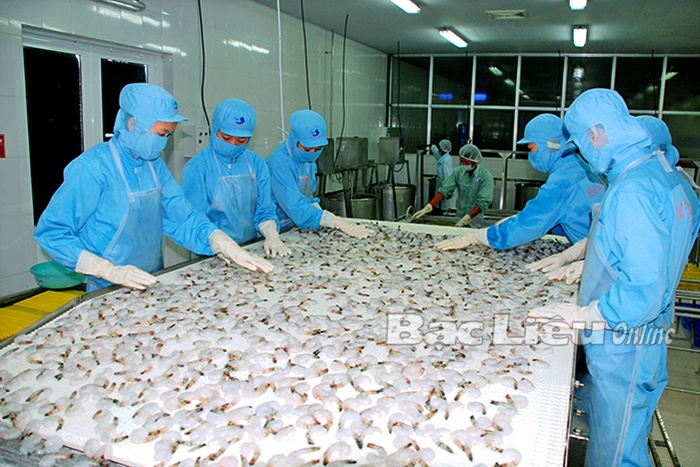 Doanh nghiệp đẩy mạnh chế biến tôm xuất khẩu
