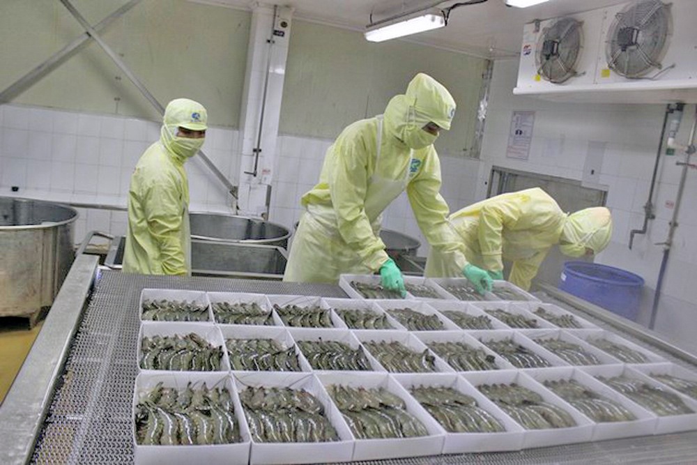 Ngành tôm tận dụng ưu thế chế biến sâu để cạnh tranh