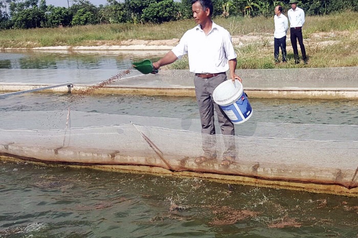 Hiệu quả kép nhờ ứng dụng công nghệ sông trong ao