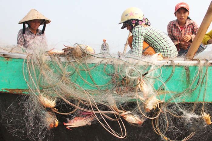 "Kiếm" tiền triệu mỗi ngày từ khai thác ghẹ