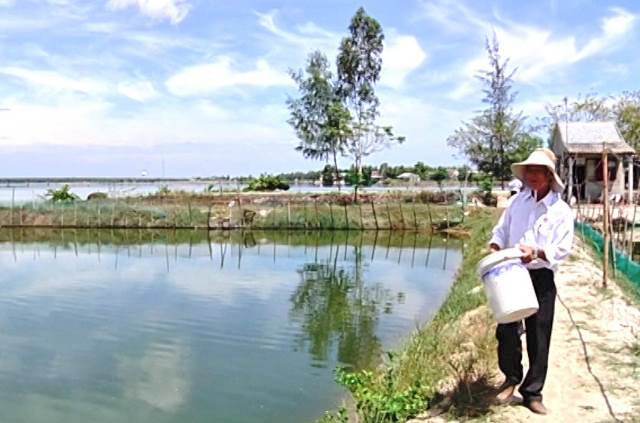 Cho cá dìa, tôm, cua ở chung nhà, tưởng bất hòa mà lời trăm triệu