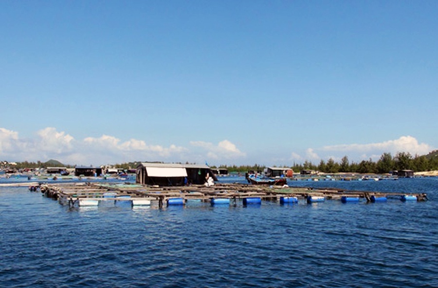 Triển khai quy hoạch phát triển thủy sản Khánh Hòa