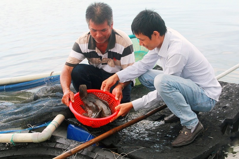 Tỷ phú đi lên từ nuôi cá mú