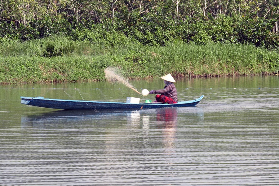 Tây Ninh: Tăng cường quản lý nuôi cá tra