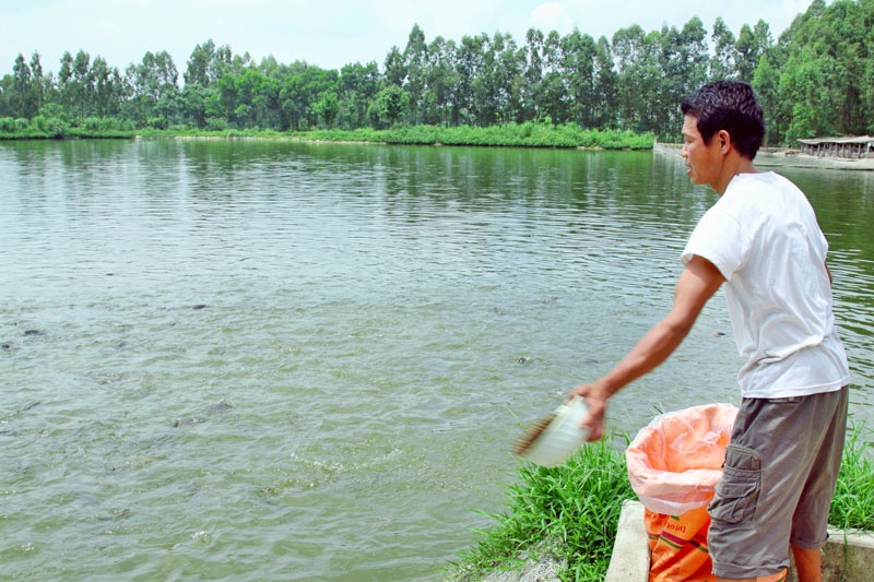 Nuôi trồng thủy sản Hà Nội: Vượt rào cản để phát triển bền vững