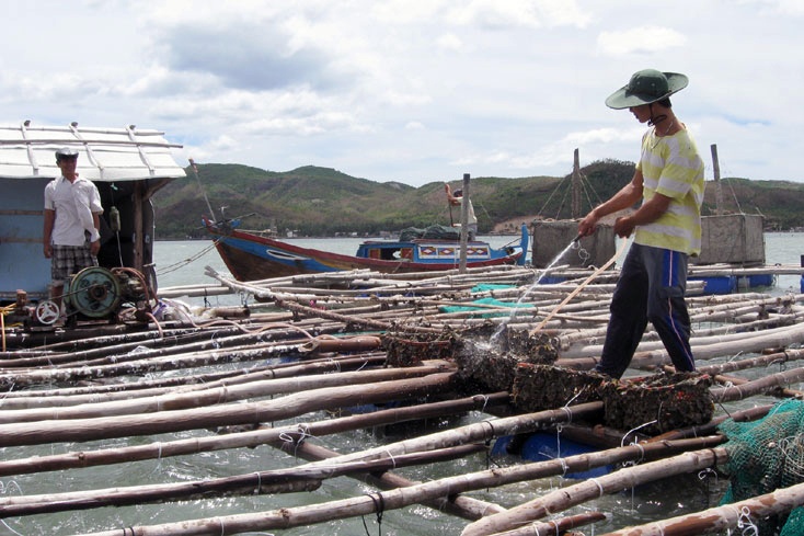 Cần xử lý dứt điểm lồng bè phát sinh ngoài quy hoạch