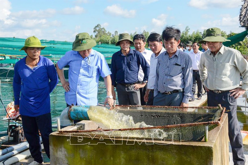 Phát triển nuôi tôm công nghệ cao: Cần giải quyết bài toán điện