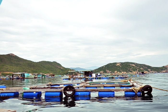 Hướng dẫn nuôi trồng thuỷ sản biển có truy xuất nguồn gốc